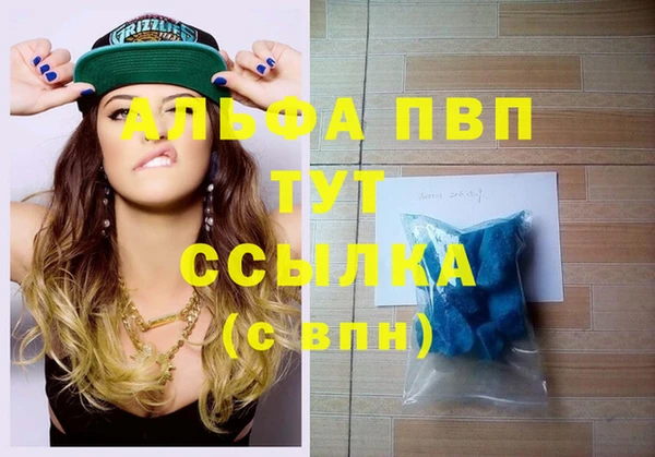 гашик Алексеевка
