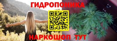 прущий лед Канаш