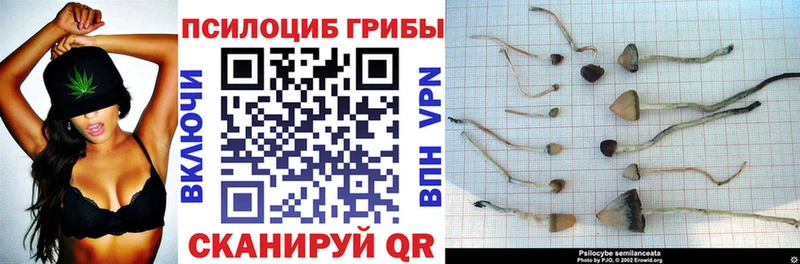 Галлюциногенные грибы ЛСД  Котовск 