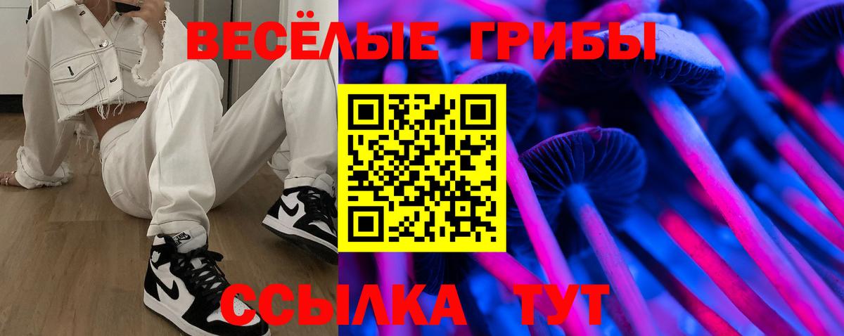 Псилоцибиновые грибы мухоморы  закладки  Котовск  Вход с VPN 
